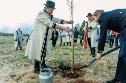Lõhmusõ istutamine Härmäl. Sundelli Harri pilt.