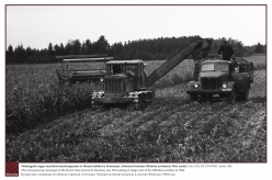 1964 - Nõukogude-aegne maisikasvatuskampaania ei läinud mööda ka Setomaast. Silomaisi koristus Obinitsa sovhoosis 1964. aastal. 
Foto: EFA.331.P.0-87098, Armin Alla