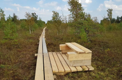 Pikalombi matkaraja Kuresoo laudtee taastamine