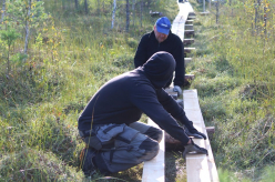 Pikalombi matkaraja Kuresoo laudtee taastamine