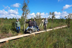Pikalombi matkaraja Kuresoo laudtee taastamine