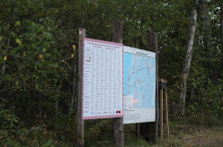 Pikalombi matkaraja Kuresoo laudtee taastamine