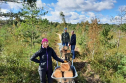 Pikalombi matkaraja Kuresoo laudtee taastamine