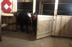 Hilläkeste talli arendamine