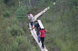 Pikalombi matkaraja Kuresoo laudtee taastamine