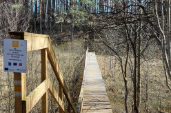 Forest Trails - metsateed