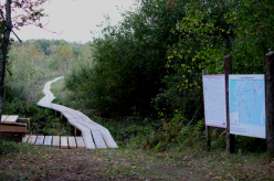 Pikalombi matkaraja Kuresoo laudtee taastamine
