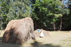 Matsuri pikniku- ja turuplatsi arendamine
